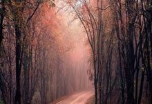 足球传奇卡卡将成为尤文图斯主帅