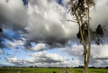 拜仁慕尼黑客场大胜,轻松晋级