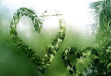 那不勒斯再度落败,阵容变动备受质疑