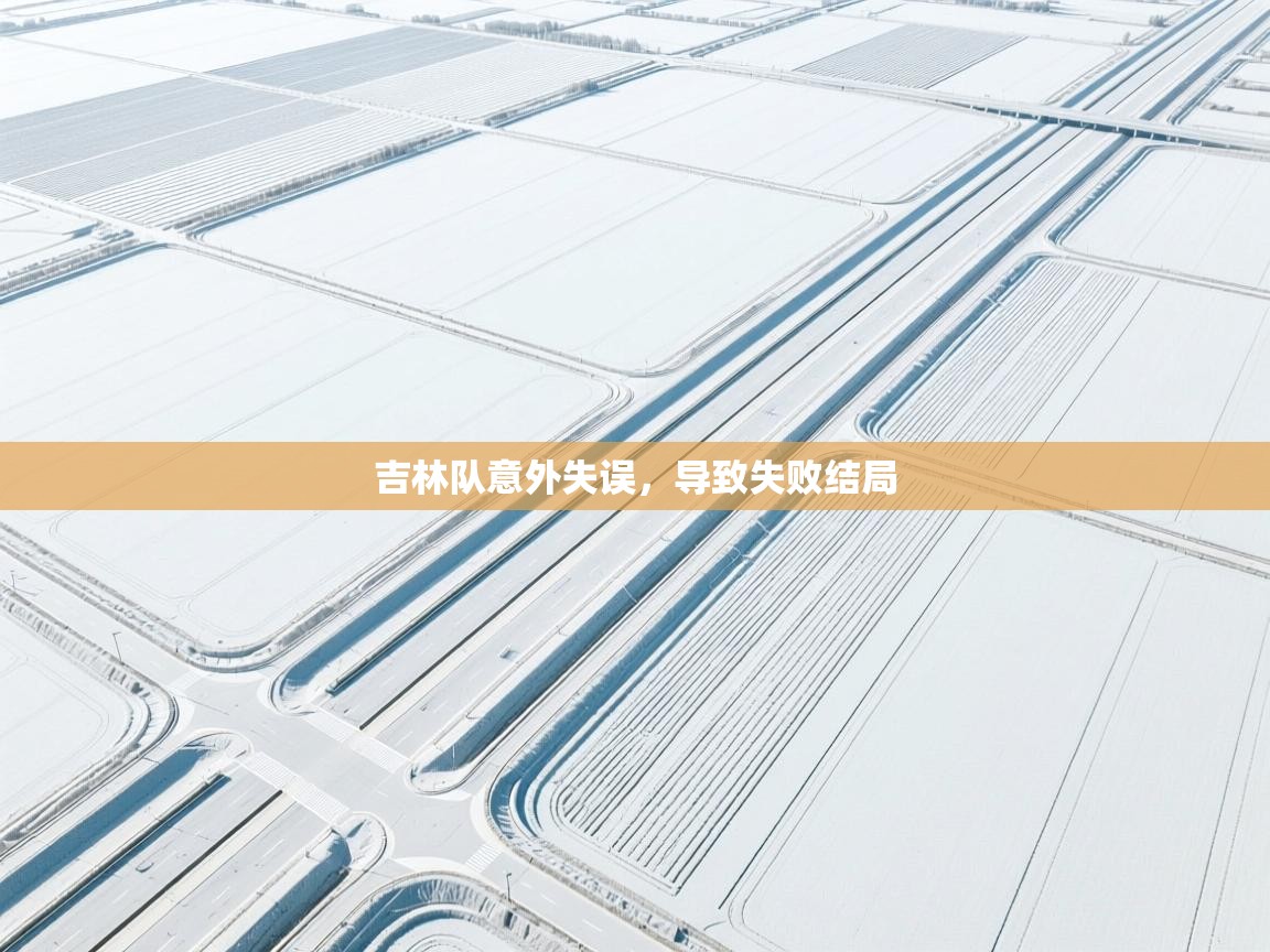 吉林队意外失误，导致失败结局  第1张